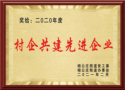 华东荣誉-村企共建先进企业