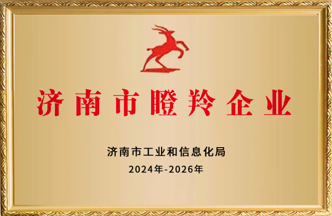华东荣誉-济南市瞪羚企业