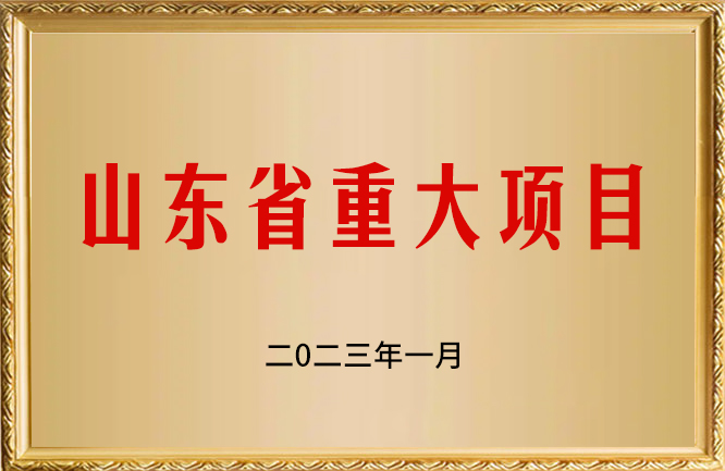 华东荣誉-山东省重大项目