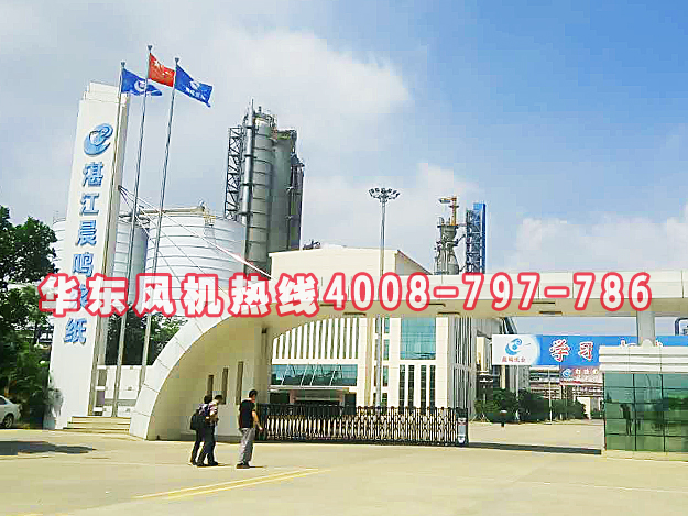 华东案例-晨鸣纸业集团股份有限公司