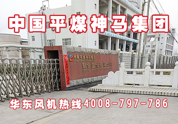 华东案例-中国平煤神马集团联合盐化有限公司