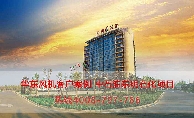 华东案例-中石油东明石化集团