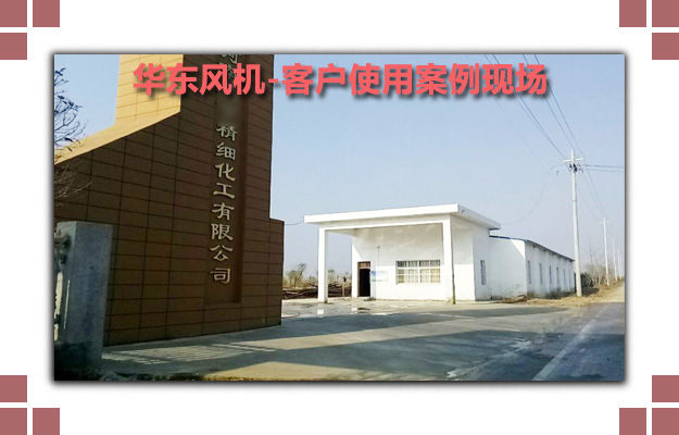 华东案例-河南**精细化工有限公司