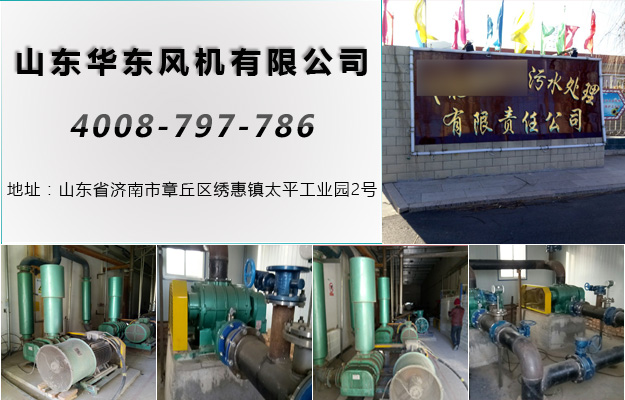 华东案例-张家口*****污水处理有限责任公司