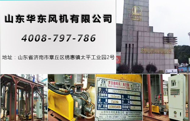 华东安徽罗茨风机案例-安徽省***工集团有限责任公司