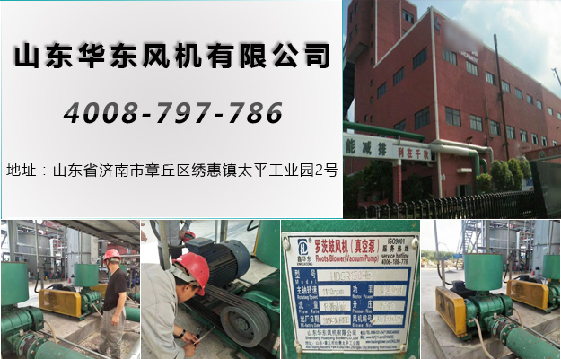 华东浙江罗茨风机案例-浙江***环保**股份有限公司