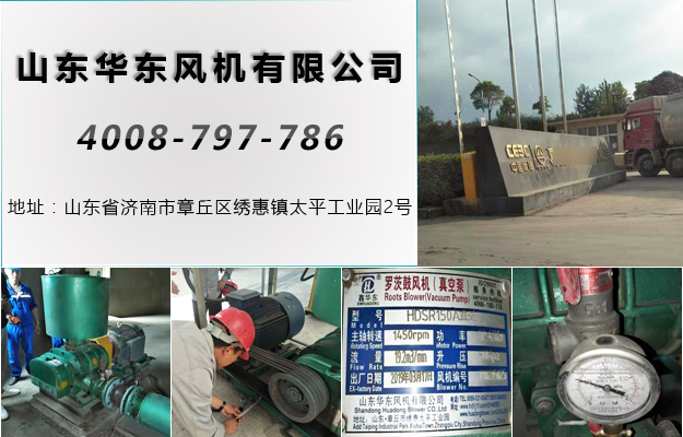 华东湖北罗茨风机案例-葛洲坝***泥有限公司