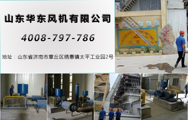 华东河北罗茨风机案例-**（邯郸）**有限公司