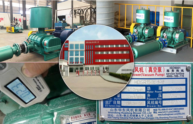 华东河北罗茨风机案例-霸*市**新能源有限公司