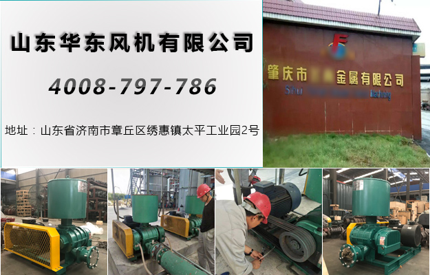 华东广东罗茨风机案例-广东**资源利用股份有限公司