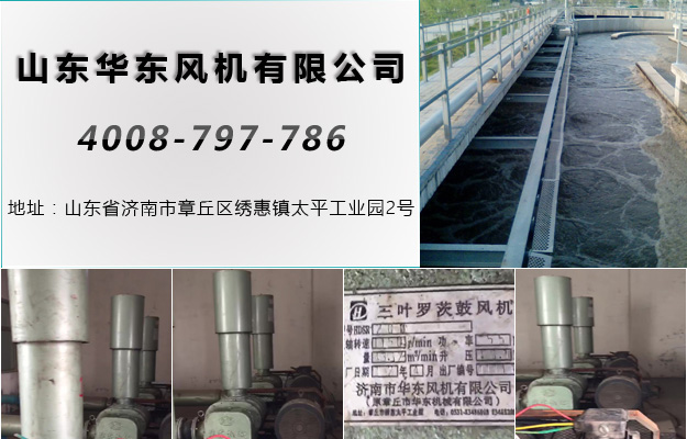 华东山西罗茨风机案例-山西*县污水处理厂