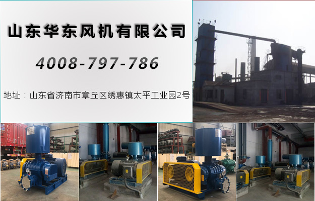 华东河南罗茨风机案例-安阳****有限责任公司