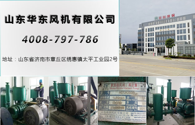 华东湖北罗茨风机案例-湖北**环保股份有限公司