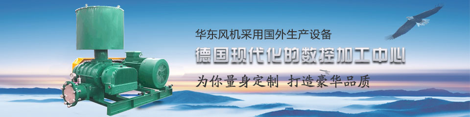 罗茨鼓风机厂